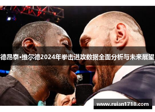 德昂泰·维尔德2024年拳击进攻数据全面分析与未来展望