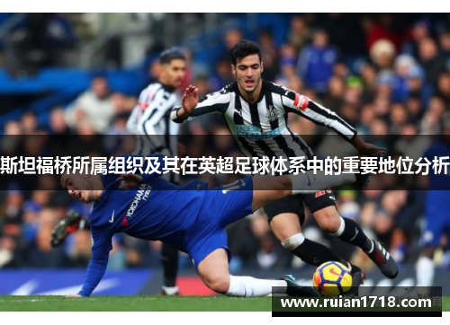斯坦福桥所属组织及其在英超足球体系中的重要地位分析