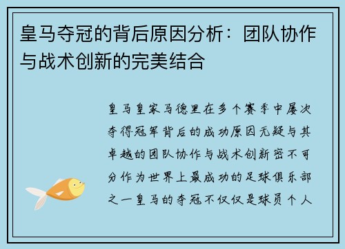 皇马夺冠的背后原因分析：团队协作与战术创新的完美结合
